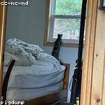 Арсений Круглов