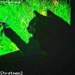 Вера Прокофьева